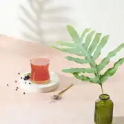 Herbalife Immune Booster Ribes